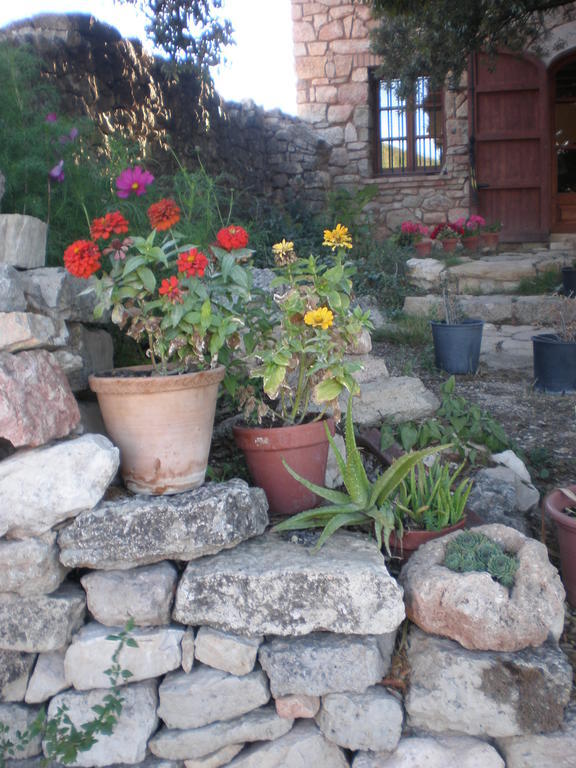 Mas Del Salin Villa Cornudella de Montsant Екстериор снимка